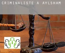 Criminaliste à  Aylsham