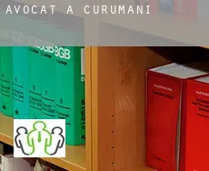 Avocat à Curumaní