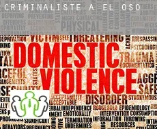 Criminaliste à El Oso
