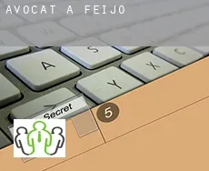 Avocat à  Feijó