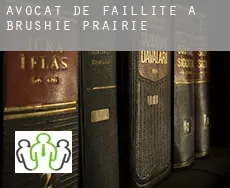 Avocat de faillite à Brushie Prairie