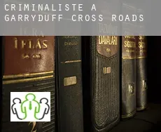 Criminaliste à Garryduff Cross Roads
