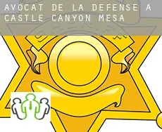 Avocat de la défense à Castle Canyon Mesa