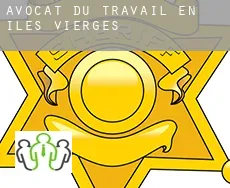 Avocat du travail en  Îles Vierges