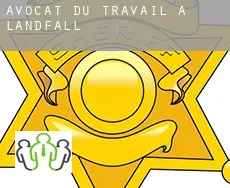 Avocat du travail à Landfall