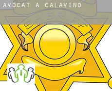 Avocat à Calavino