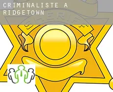 Criminaliste à Ridgetown