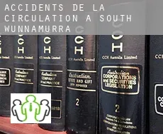 Accidents de la circulation à South Wunnamurra