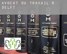 Avocat du travail à  Delft