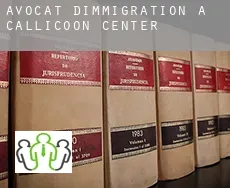 Avocat d'immigration à Callicoon Center