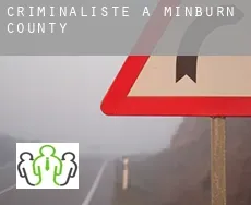 Criminaliste à  Minburn County