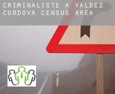 Criminaliste à Valdez-Cordova