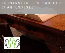 Criminaliste à Saulces-Champenoises
