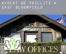 Avocat de faillite à East Bloomfield