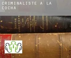 Criminaliste à  La Cocha