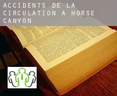 Accidents de la circulation à Horse Canyon
