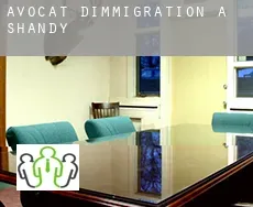 Avocat d'immigration à Shandy