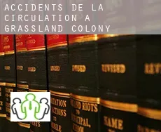 Accidents de la circulation à Grassland Colony