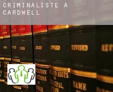 Criminaliste à Cardwell