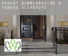 Avocat d'immigration à Torres de Alcanadre