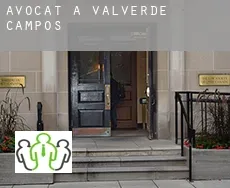 Avocat à  Valverde de Campos
