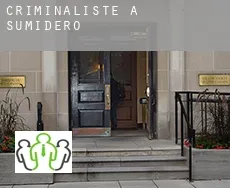 Criminaliste à  Sumidero
