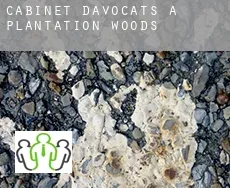 Cabinet d'avocats à Plantation Woods