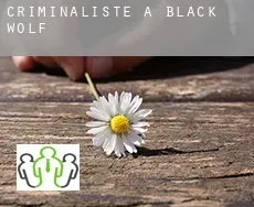 Criminaliste à Black Wolf