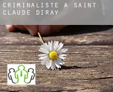 Criminaliste à Saint-Claude-de-Diray