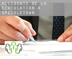 Accidents de la circulation à Speigletown