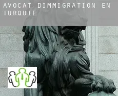 Avocat d'immigration en  Turquie