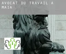 Avocat du travail à  Maia