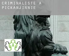 Criminaliste à Pickanjinnie