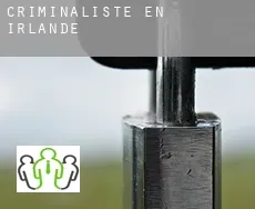 Criminaliste en  Irlande