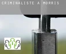Criminaliste à Morris