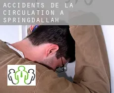 Accidents de la circulation à Springdallah