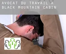 Avocat du travail à Black Mountain Cabin