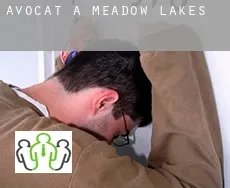 Avocat à  Meadow Lakes