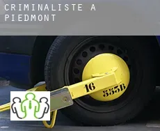 Criminaliste à Piedmont