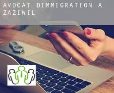 Avocat d'immigration à Zäziwil