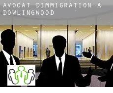 Avocat d'immigration à Dowlingwood