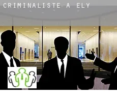 Criminaliste à Ely