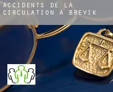 Accidents de la circulation à Brevik