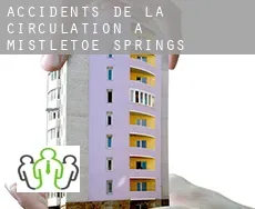 Accidents de la circulation à Mistletoe Springs