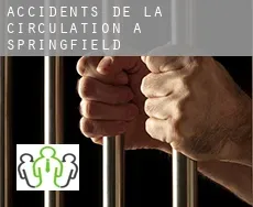 Accidents de la circulation à Springfield
