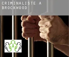 Criminaliste à Brockwood