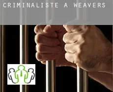 Criminaliste à Weavers