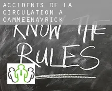 Accidents de la circulation à Cammeenavrick