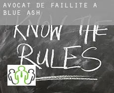 Avocat de faillite à Blue Ash