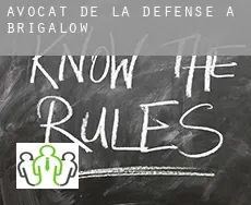 Avocat de la défense à Brigalow